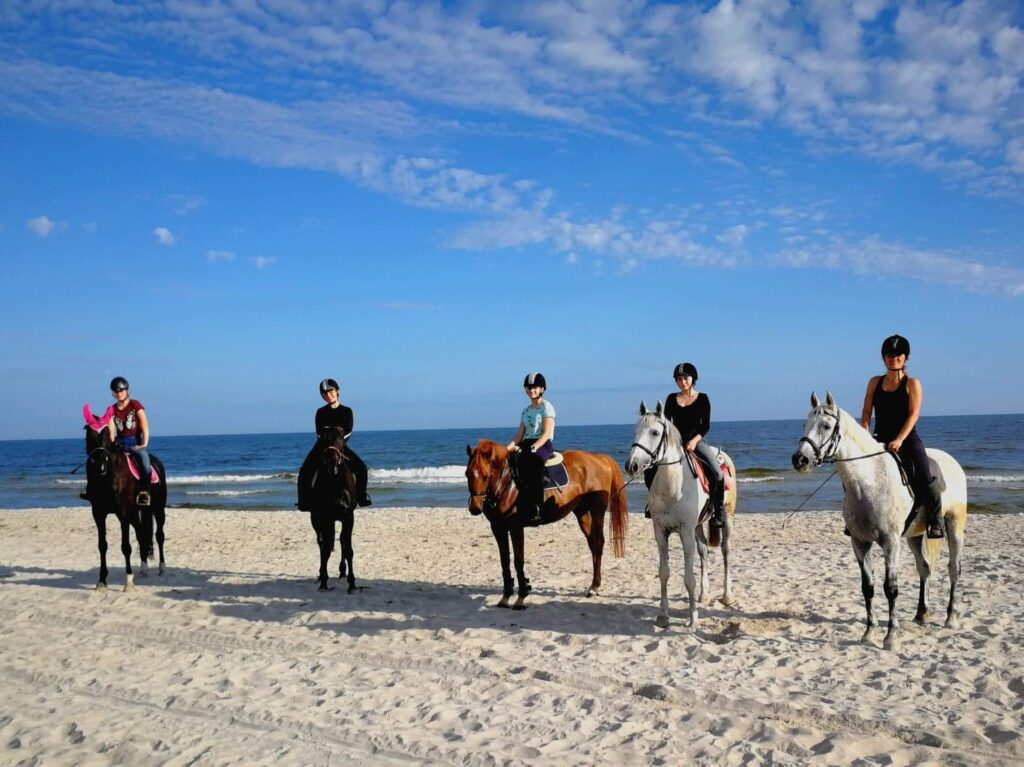 37685576 2121867641219531 872215378581782528 n 37685576 2121867641219531 872215378581782528 n